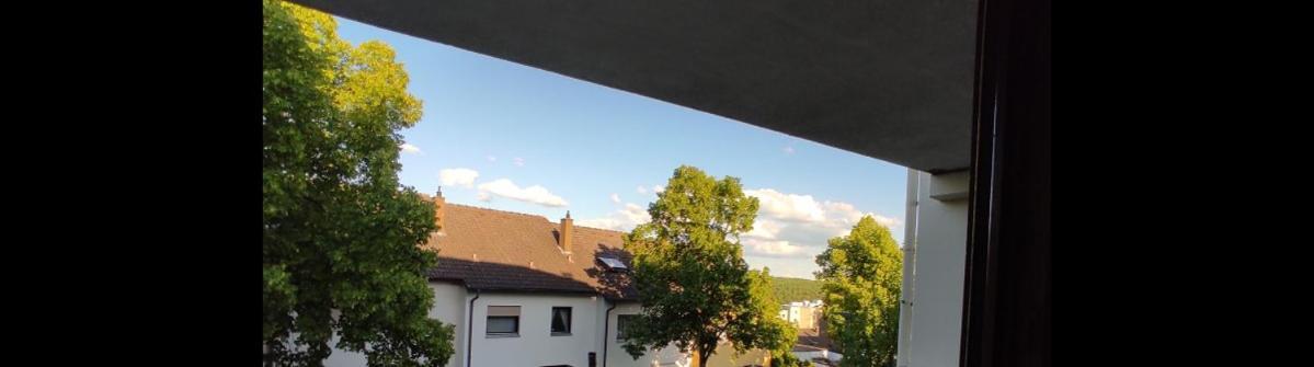 Apartment Panorama Schweinfurt Ngoại thất bức ảnh